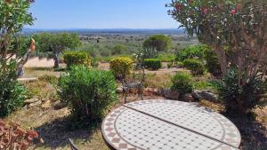 Príroda v okolí of the bed and breakfast
