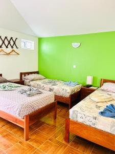 um quarto com três camas e uma parede verde em Casa BB&Djassi em Ponta do Sol