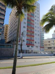 a street with two palm trees and a tall building at Pe na Areia Ótimo Apto Vista Mar in Praia Grande