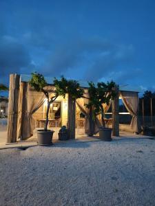 a house with trees in pots in front of it at TENUTA DOROLIVO in Otranto