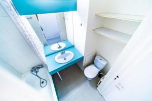a bathroom with a blue sink and a toilet at Le petit Chinard- studio cosy-Vaise in Lyon