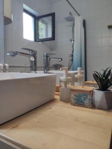 a bathroom with a sink and a counter top at Park 1 MARKO FREE PARKING in Vranje