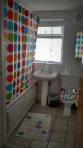 La salle de bains est pourvue d'un rideau de douche et d'un lavabo. dans l'établissement Eglantine Townhouse, à Belfast