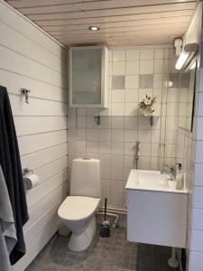 a bathroom with a toilet and a sink at Villa Valkeinen in Nilsiä