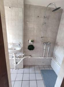ein Bad mit einer Dusche und einem Waschbecken in der Unterkunft Park 2 Branka FREE PARKING in Vranje