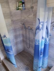 Vraneša的住宿－Smeštaj Milekić - Nova Varoš，浴室配有蓝色和白色的淋浴