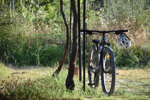 a bike is parked next to a tree at Chliara apartments in Skala Eresou