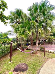 a hammock in a park with palm trees at Espectacular CASA FINCA con piscina, WiFi Y AA in Melgar