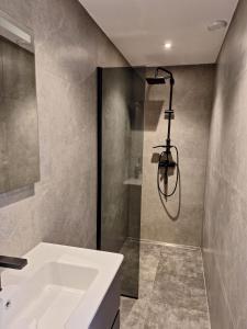 a bathroom with a shower and a white sink at Mooie studio 14 Cn in center in Rotterdam