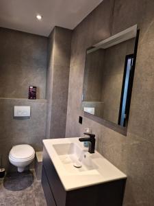 ein Badezimmer mit einem Waschbecken, einem WC und einem Spiegel in der Unterkunft Mooie studio 14 Cn in center in Rotterdam