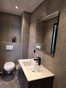 a bathroom with a sink and a toilet and a mirror at Mooie studio 14 C in center in Rotterdam +7 photos