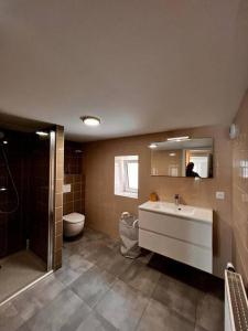 a bathroom with a tub and a toilet and a sink at La Maison Alsacienne in Morschwiller-le-Bas