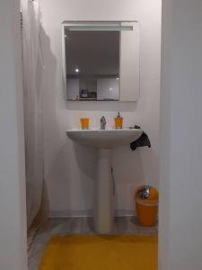 een badkamer met een witte wastafel en een spiegel bij Bungalow agéable et confortable, parking securisé in Vieux-Habitants