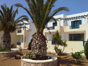 a palm tree in front of a building at Sea Melody in Lefkos Karpathou