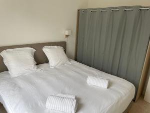 Una cama blanca con dos almohadas encima. en Appartement en coeur de ville 2 personnes en Bort-les-Orgues