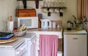 eine Küche mit einer Arbeitsplatte und einer Mikrowelle in der Unterkunft Awesome Home In Chaumussay With Heated Swimming Pool in Chaumussay