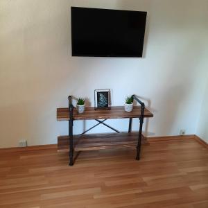 a table with two potted plants on it with a television at Große Ferienwohnung im Spreewald Lübben 2,5km in Hartmannsdorf