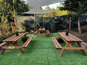 a group of picnic tables on a lawn at Zeus in Cluj-Napoca