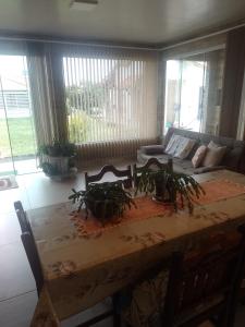 a table with plants on it in a living room at Casa de Praia in Balneário Gaivotas