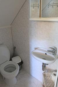 a bathroom with a toilet and a sink at Bušeranda - depandance Hotelu U Zeleného stromu in Děčín
