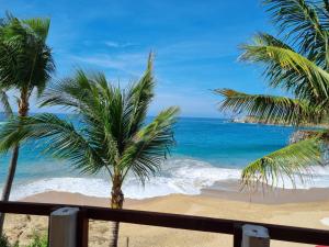 uma vista para uma praia com palmeiras e para o oceano em Posada Ziga Playa em Mazunte