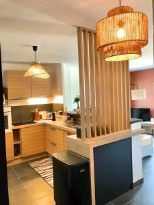a kitchen with two pendant lights and a trash can at charmant 2 pièces, neuf et cosy in Jonzac