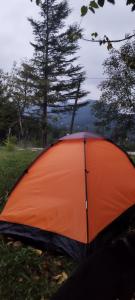 ein orangefarbenes Zelt auf dem Rasen auf einem Feld in der Unterkunft dimis ferdobi in Dimi