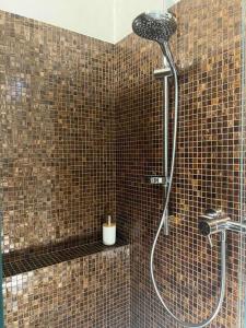 La salle de bains est pourvue d'une douche et de murs carrelés bruns. dans l'établissement Al centro tra Modena e Bologna, à Castelfranco Emilia