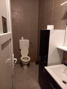 een kleine badkamer met toilet en wastafel bij Arthur 3 in Brčko