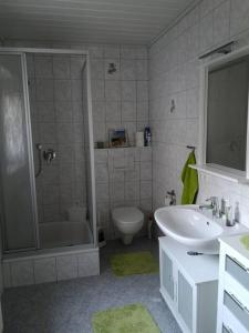 a bathroom with a shower and a sink and a toilet at Ruhige Ferienwohnung in der Rhöner Natur in Schönau an der Brend