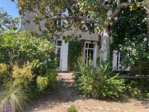 a white house with a tree in front of it at Maison Dulcis in Saint-Maixant