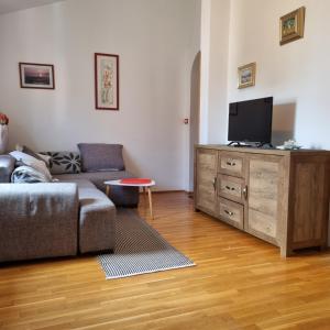 sala de estar con sofá y TV de pantalla plana en Apartment Akaju, en Rovinjsko Selo