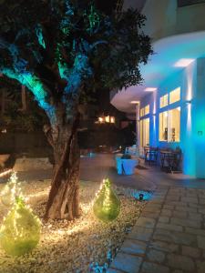 Zahrada ubytování B&B Alalama