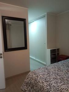 1 dormitorio con cama y espejo en la pared en Comodo y divertido espacio, en Antofagasta