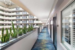 an internal corridor of an office building with plants at Embassy Suites by Hilton Orlando Airport in Orlando