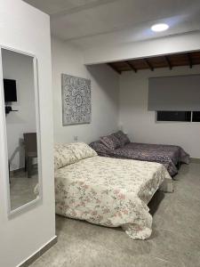 een slaapkamer met 2 bedden en een spiegel bij Apartamento Completo 601 in Medellín
