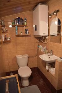 a bathroom with a toilet and a sink at Ostoja dom letniskowy 