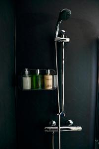 a shower in a bathroom with a shelf with toiletries at Tu Guesthouse in Stanley