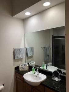 un baño con lavabo y espejo en Studio Townhouse in Uptown King Bed-Wi-Fi-Full Kitchen- Washer & Dryer, en Charlotte 19 fotos más