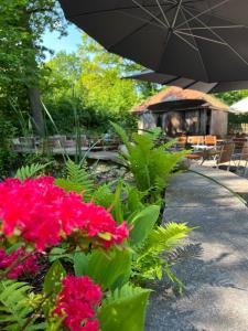 Zahrada ubytování Waldhotel Eichenhof