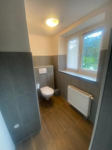 ein kleines Bad mit einem WC und einem Fenster in der Unterkunft Haus Bergfriede 2 in Obsteig