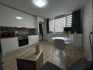 Eldhús eða eldhúskrókur á Studio Prosek