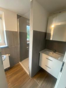 uma casa de banho com um chuveiro, um lavatório e um espelho. em Haus Bergfriede 2 em Obsteig