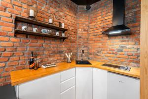 Dapur atau dapur kecil di Loft Radzionków