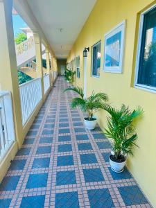 a hallway with two potted plants on a building at Spring Palm Estate in St Mary