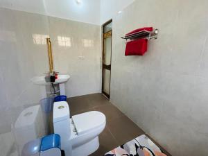 a bathroom with a white toilet and a sink at Happy House Nungwi in Nungwi