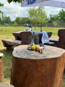 einem Tisch mit einem Vogelkäfig auf einem Baumstumpf in der Unterkunft Sunset By The Farm in Piatra Neamţ