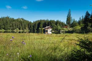 a field of grass with a house in the background at Lechapart Wagner in Reutte