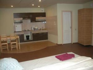 a room with a kitchen and a bed in a room at Arsenal in Daugavpils +49 photos