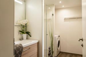 a bathroom with a sink and a washing machine at Chalet Gasteig in Oberau